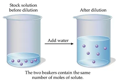 Illustration dilution - Image 2