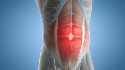 Illustration epigastrium