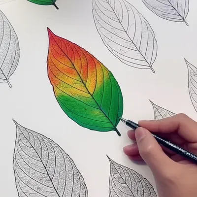 Illustration patterns - Image 1