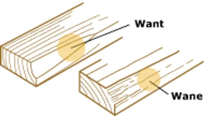 Illustration wane - Image 2