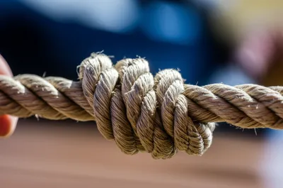 Illustration wall - Image 1