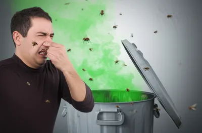 Illustration stank - Image 1