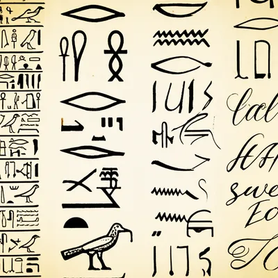 Illustration script - Image 1