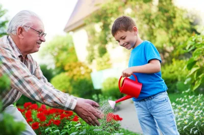 Illustration lad - Image 1