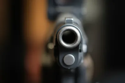 Illustration filet - Image 1