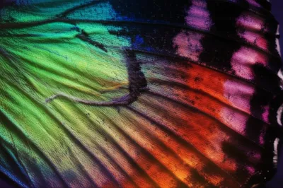 Illustration scale - Image 1