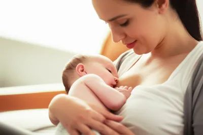 Hình ảnh minh họa suckles - Ảnh 1