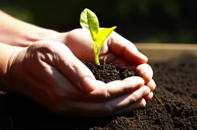 Illustration wedded - Image 1