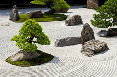 Illustration ordonnance