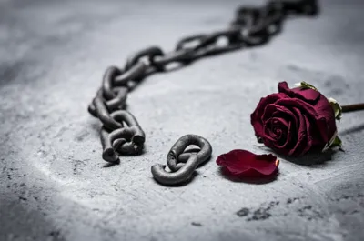 Illustration felonious