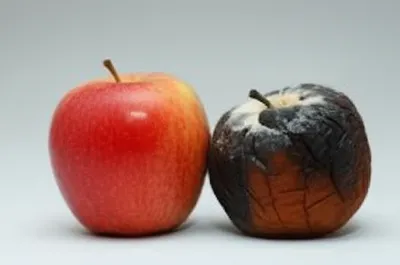 Illustration decays - Image 1