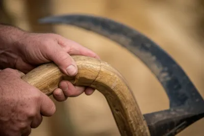 Illustration nib - Image 1