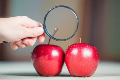 Illustration knew - Image 1