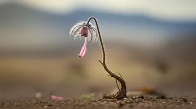 Illustration slight - Image 1