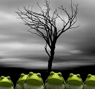 Illustration croaks - Image 1