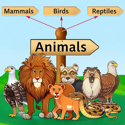 Illustration distributive - Image 1