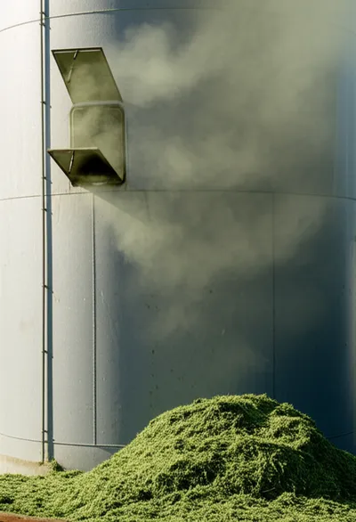 Illustration sillage - Image 1