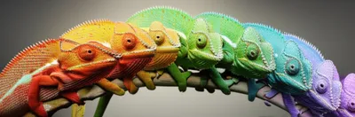 Illustration conjugation - Image 1