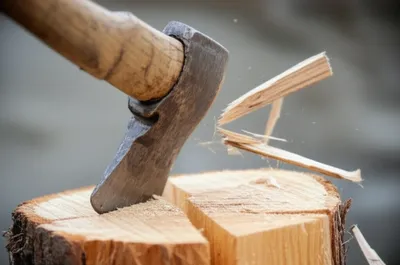 Illustration cloven - Image 1