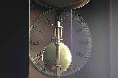 Illustration ticks - Image 1