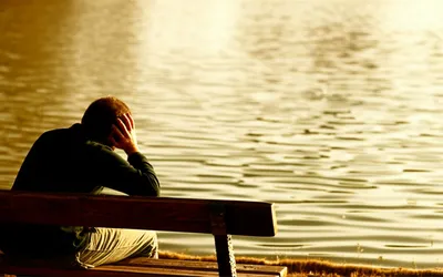 Illustration ruminated - Image 1