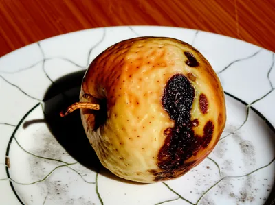 Illustration unwholesome - Image 1