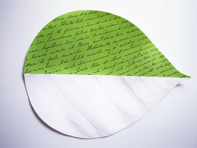 Illustration pages - Image 1