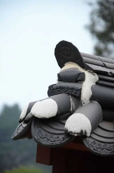 Illustration heads - Image 1