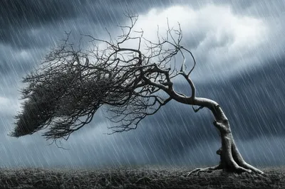 Illustration submit - Image 1