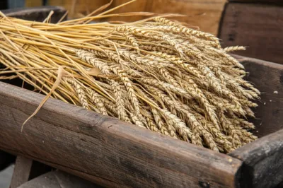 Illustration sums - Image 1