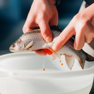 Illustration strips - Image 1