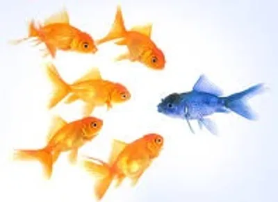 Illustration outlandish - Image 3