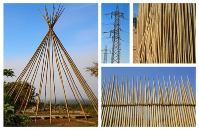 Illustration poles - Image 1