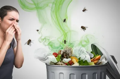 Illustration reeks - Image 1