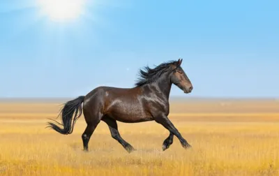 Illustration leer - Image 1