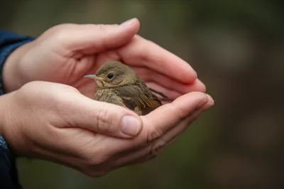 Illustration screens - Image 1