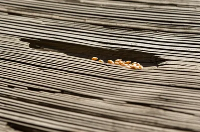 Illustration grained - Image 1