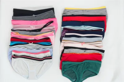 Illustration knickers - Image 1