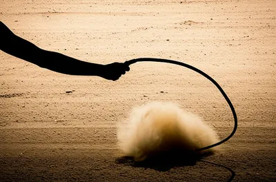 Hình ảnh minh họa whipping