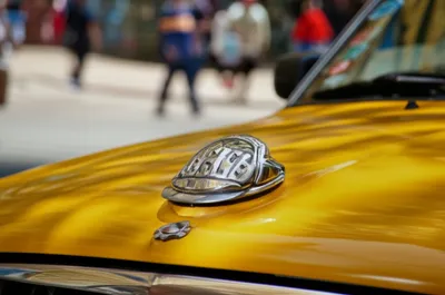 Illustration medallions - Image 1