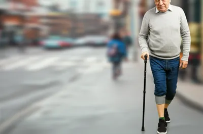 Illustration gimp - Image 1