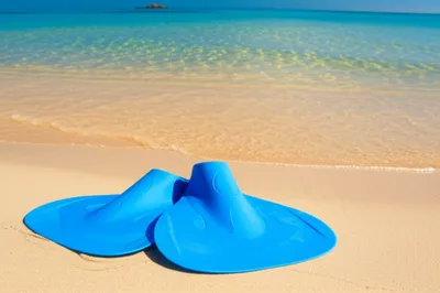 Illustration flipper - Image 1