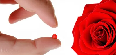 Illustration biting - Image 1