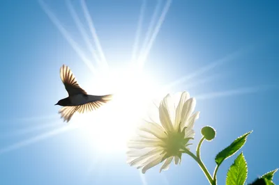 Illustration daily - Image 1