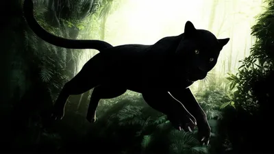 Illustration pounce - Image 1