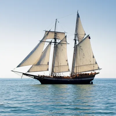 Illustration flutes - Image 1