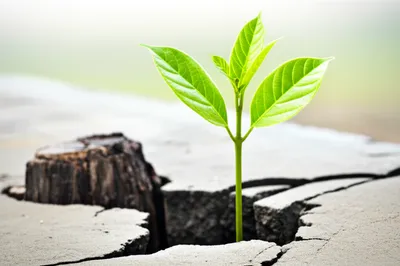 Illustration displaces - Image 1