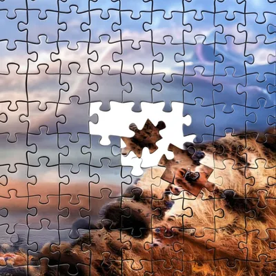 Illustration mismatch - Image 1