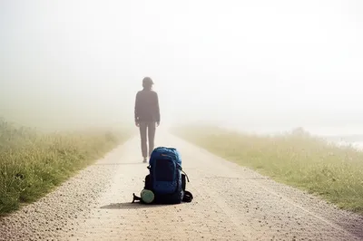 Illustration foregoing - Image 1