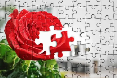 Illustration incorporating